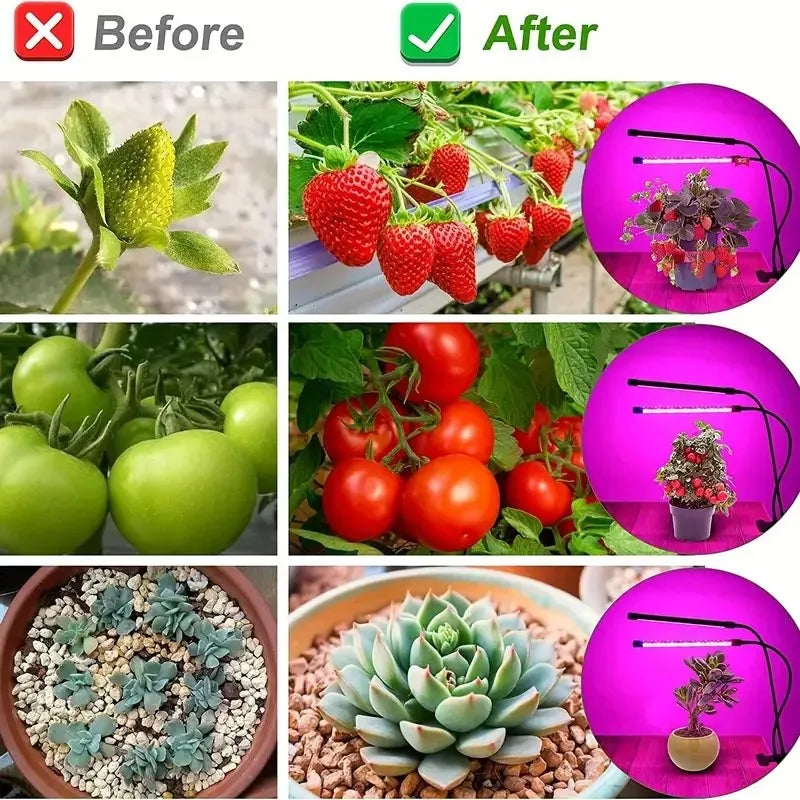 USB LED Plant Grow Light | 1/2/3/4 Head, 10 Dimming Levels, Timer