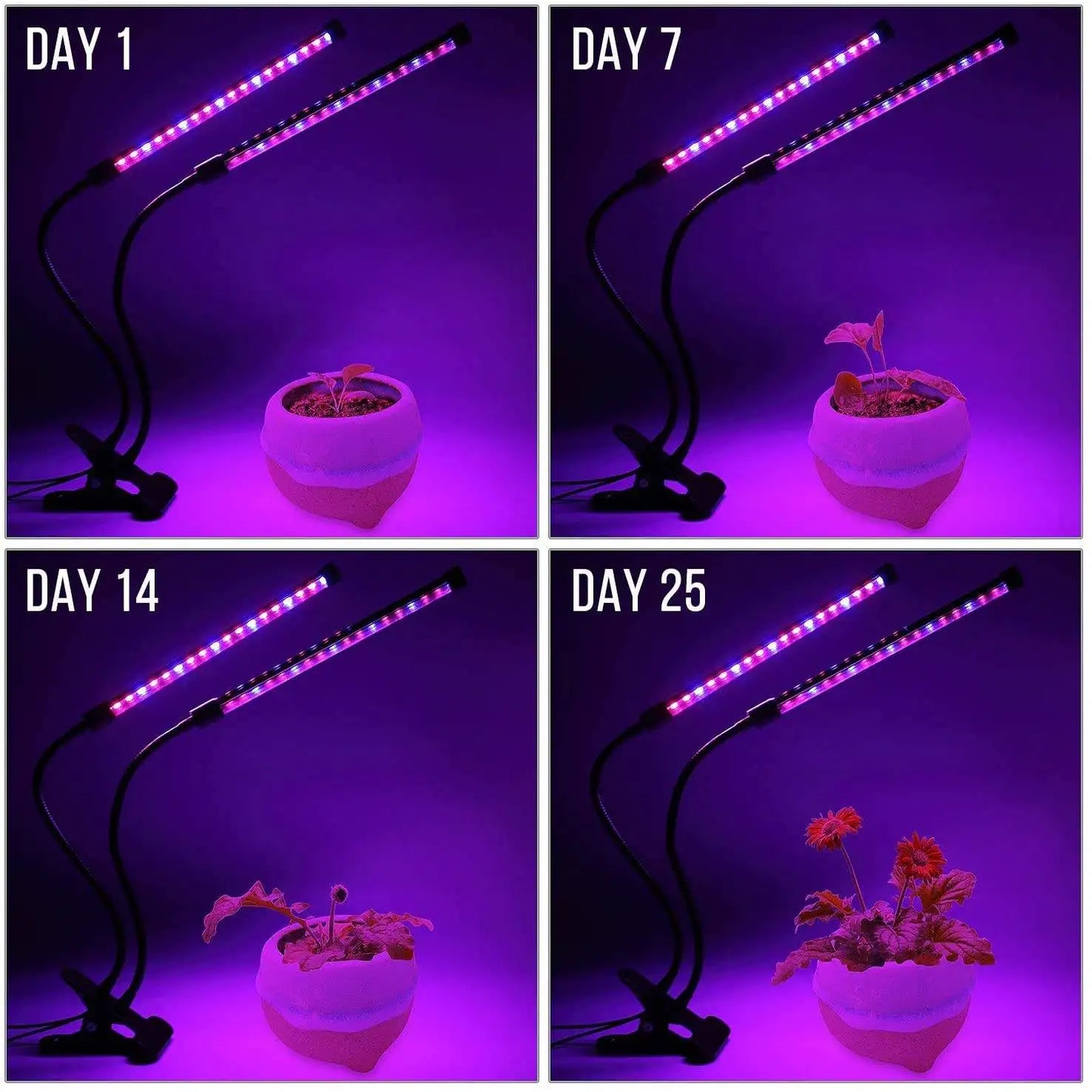 USB LED Plant Grow Light | 1/2/3/4 Head, 10 Dimming Levels, Timer